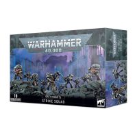 Grey Kights Stirke Squad Warhammer 50k miniature kit